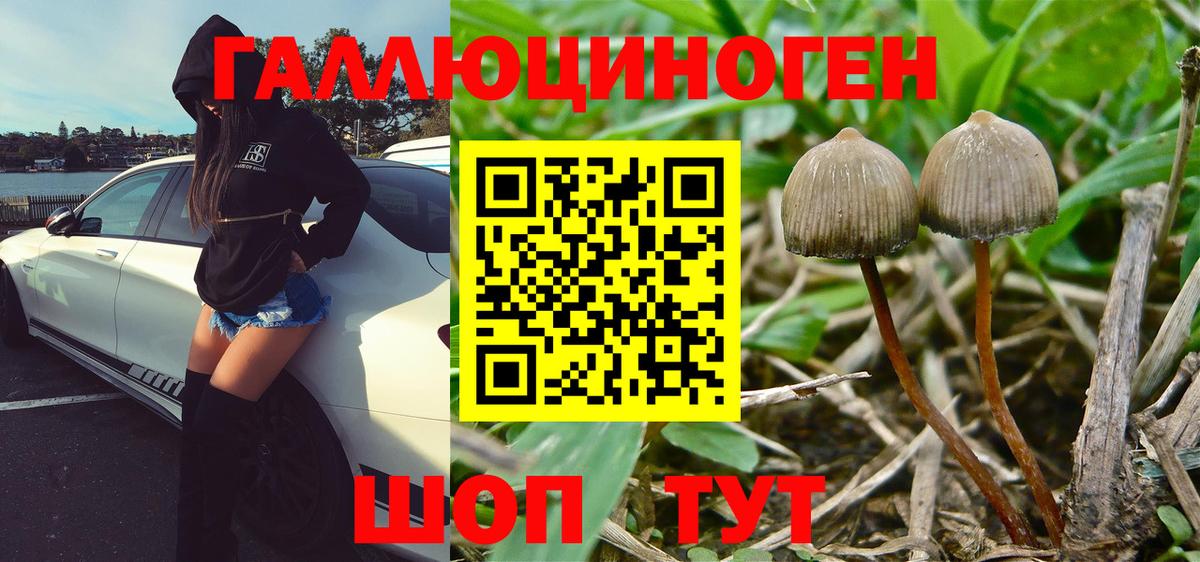 Псилоцибиновые грибы Magic Shrooms Первоуральск